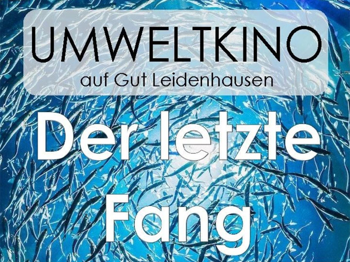 Umweltkino