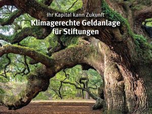 Broschüre Klimagerechte Geldanlage für Stiftungen